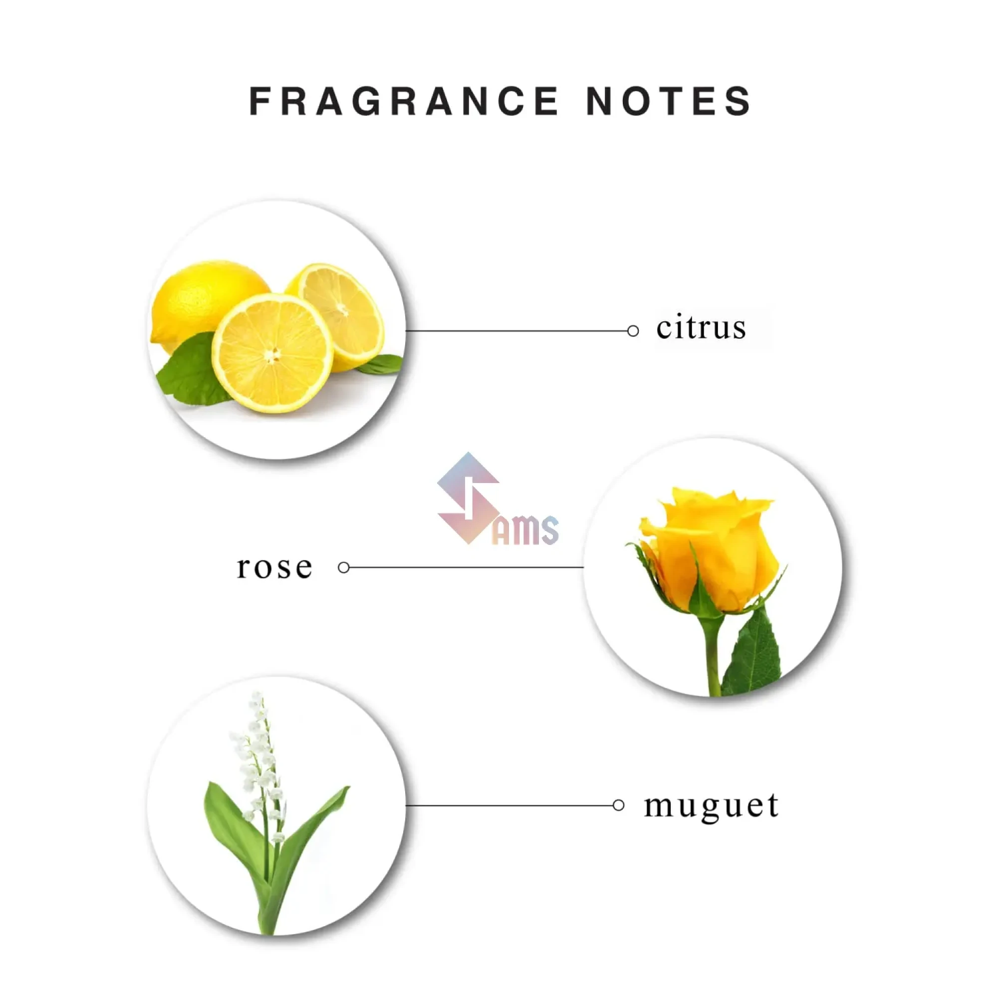 enchanteur charming lotion 250ml1.webp